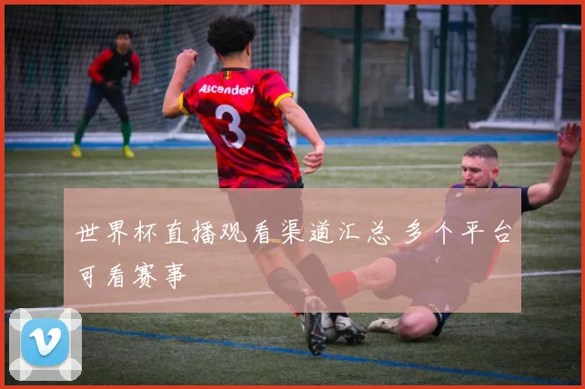 世界杯直播观看渠道汇总 多个平台可看赛事